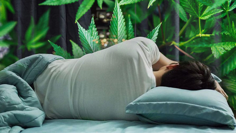 Things to Look Out For When Using Cannabis for Sleep