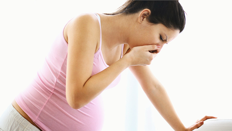 first Trimester Morning Sickness and Nausea